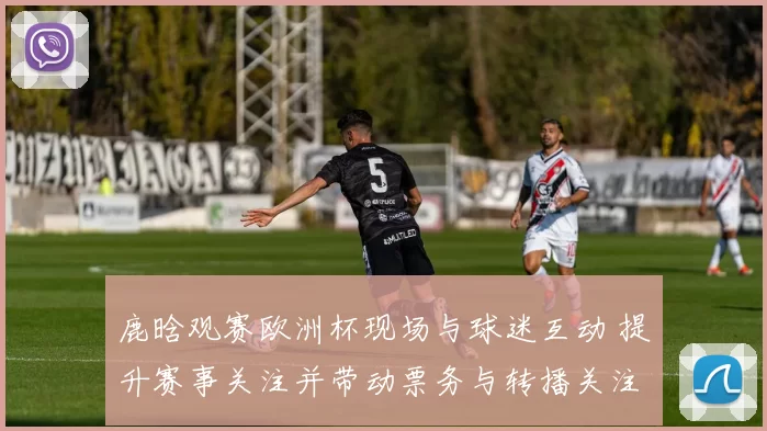 鹿晗观赛欧洲杯现场与球迷互动 提升赛事关注并带动票务与转播关注