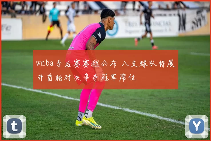 wnba季后赛赛程公布 八支球队将展开首轮对决争夺冠军席位